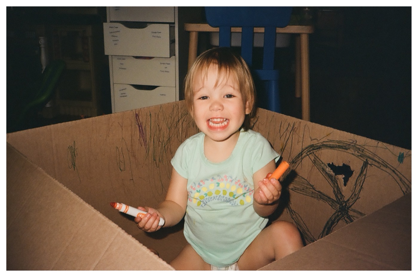 Lily sitting in a cardboard box covered in her own marker drawings